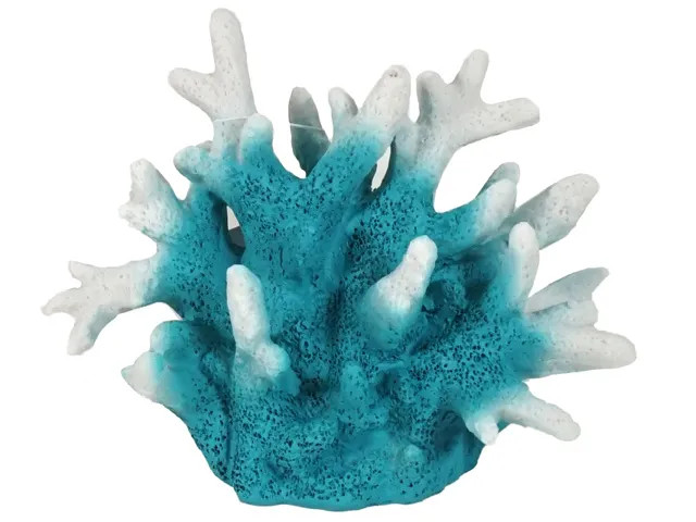 JMK-FISH325368