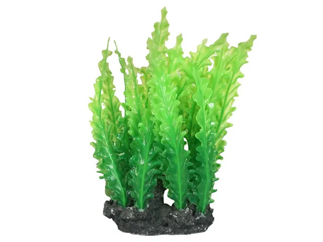 JMK-FISH325429