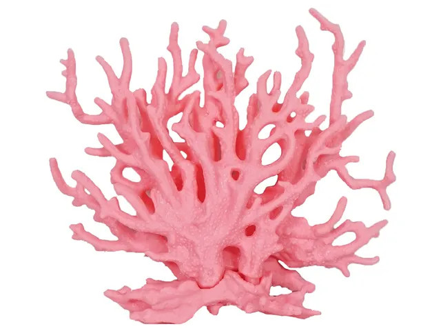 JMK-FISH325511