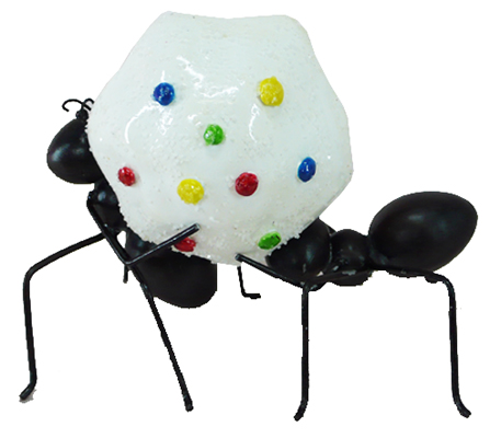 MMR-ANT1439